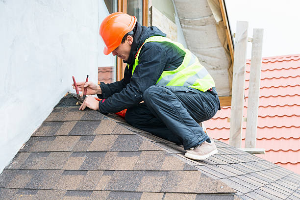 Best Metal Roofing Contractor  in Elkland, PA